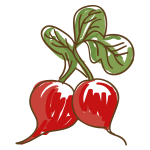 radish-logo